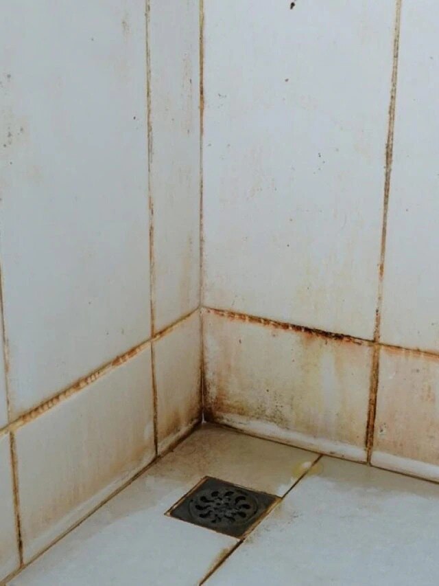 বাথরুমের জেদি দাগ তুলতে নাজেহাল, রইল টিপস