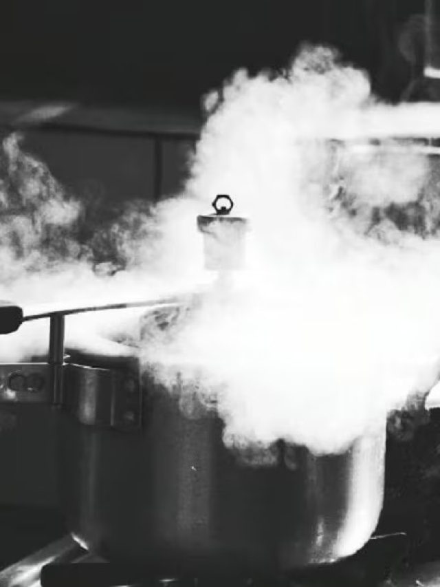 প্রেশার কুকারে ডাল রাঁধতে গেলেই জল বেরোচ্ছে? এই  ছোট্ট কাজটি করুন