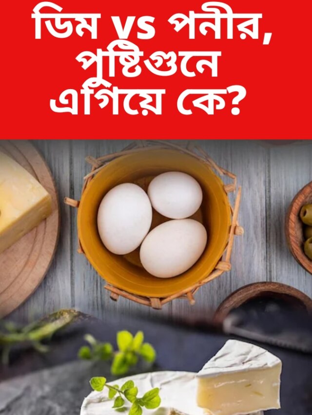 ডিম না পনীর কোনটা খেলে বেশি উপকার?
