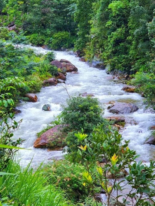 মাত্র ৫০০ টাকা খরচ, কলকাতার কাছেই রয়েছে এসব ঘোরার জায়গা