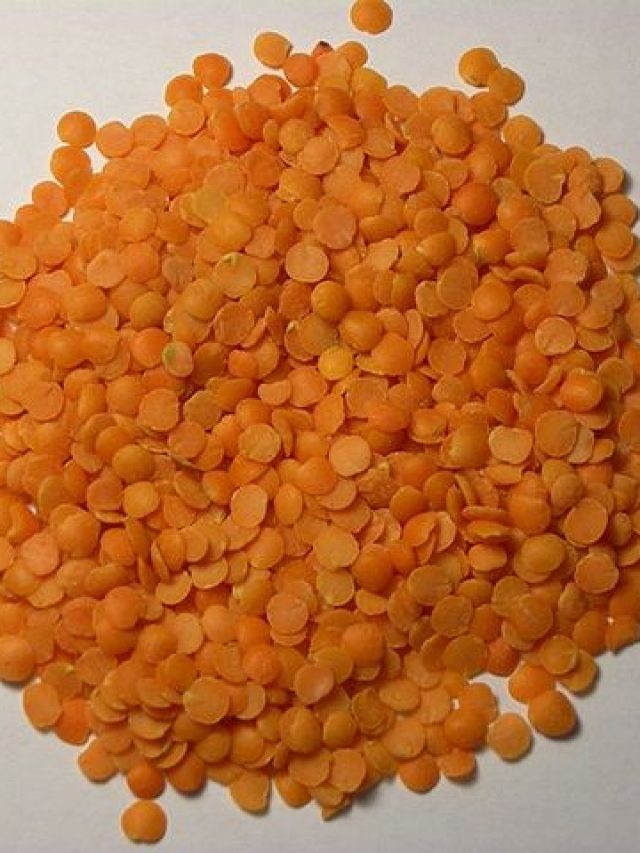 মসুর ডাল কেন খাবেন রোজ? জানুন ৫ উপকার