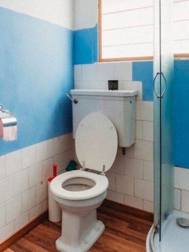 এই টোটকায় বাথরুম-কমোডের দুর্গন্ধ দূর হবে নিমেষে, রইল উপায়