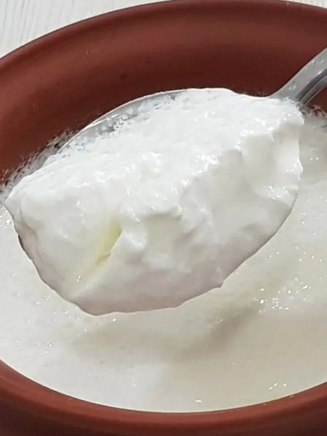 ঘরের দই হবে থকথকে, টক ভাব থাকবে না,খালি এই বাসনে পাতুন