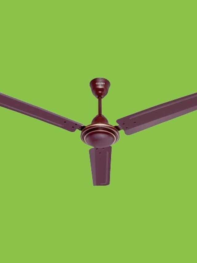 সিলিং ফ্যানে বেশি হাওয়া চান? নতুন কেনার আগে যা যা খেয়াল রাখবেন