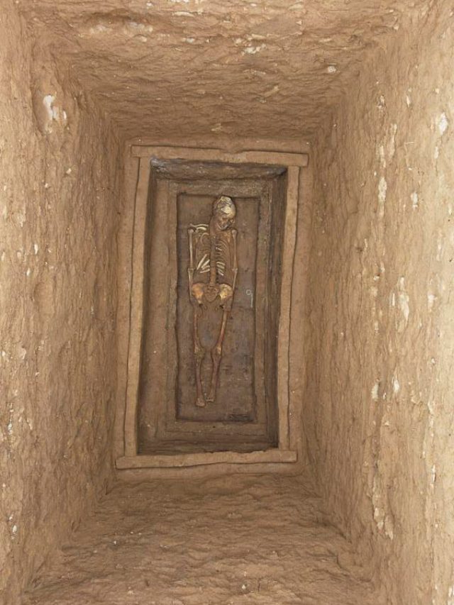 ‘700 cultural relics’: Chinese archaeologists discover 445 tombs from Qin Dynasty era