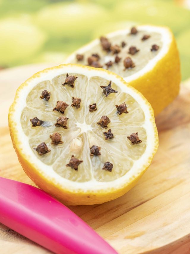 লবঙ্গ-লেবু এভাবে রাখলেই খরচায় লাগবে 'ব্যারিকেড', জমবে কোটি টাকা