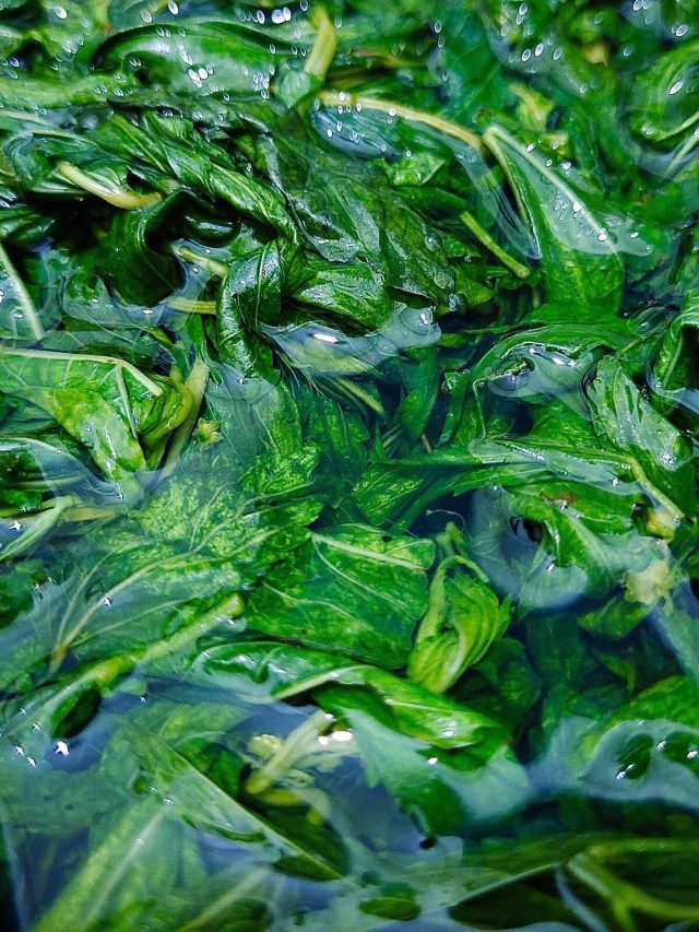 সস্তার এই শাকেই ফুলবে পুরুষত্ব,  বুড়ো হলেও চলবে যৌবনের খেলা