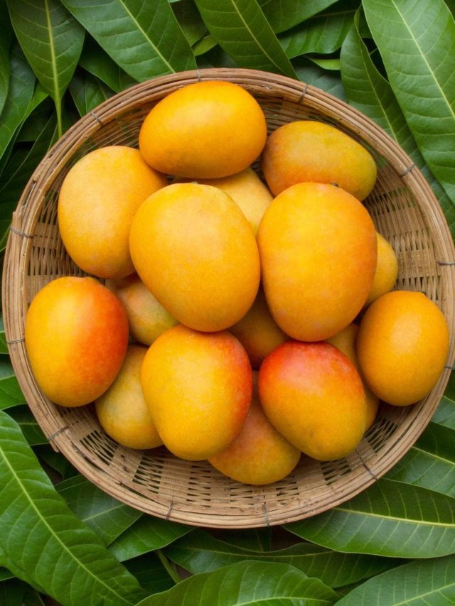 আমের এই অংশে থাকে 'বিষ', খাওয়ার আগে এই কাজটি করে নিন