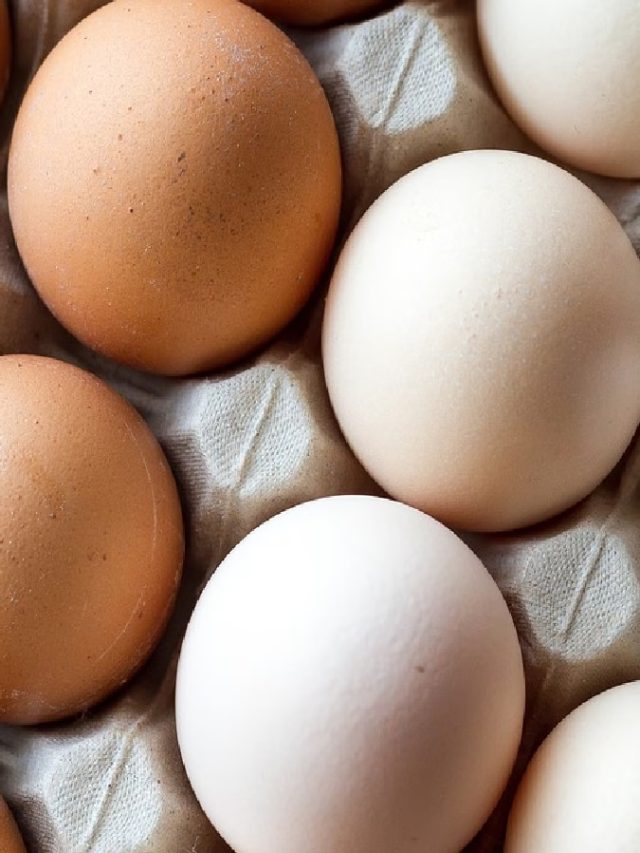 বাদামী ডিম vs সাদা ডিম? কোনটা খাওয়া উপকারী