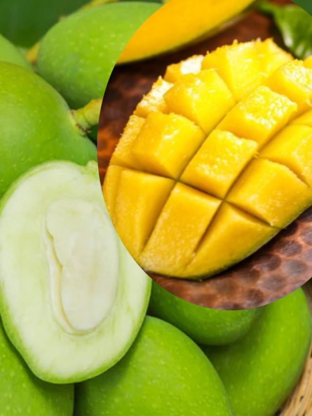 কাঁচা না পাকা কোন আম খেলে বেশি উপকার?
