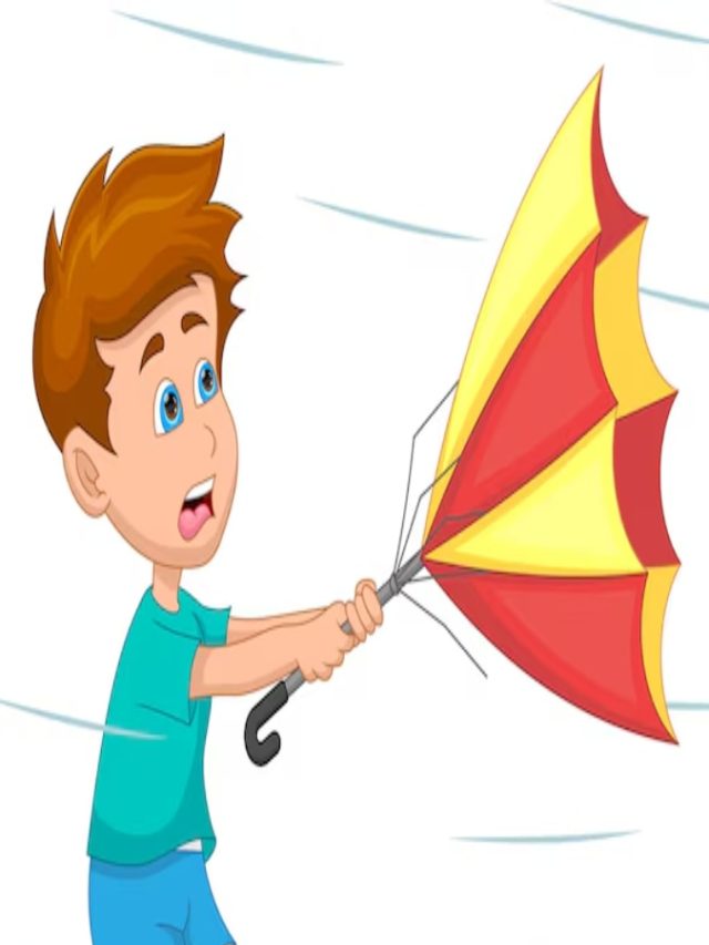 ১০টা বর্ষা কাটবে একটা ছাতাতেই, রইল কেনার টিপস