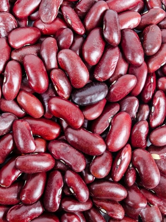 প্রোটিনে পাঁঠার মাংসও ফেল, এই বীজের বিরাট গুণ!