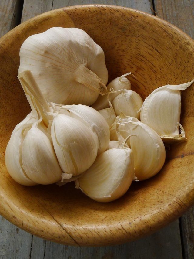 রসুনের এই টোটকায় কমবে স্ট্রেচ মার্ক থেকে ব্রণর দাগ