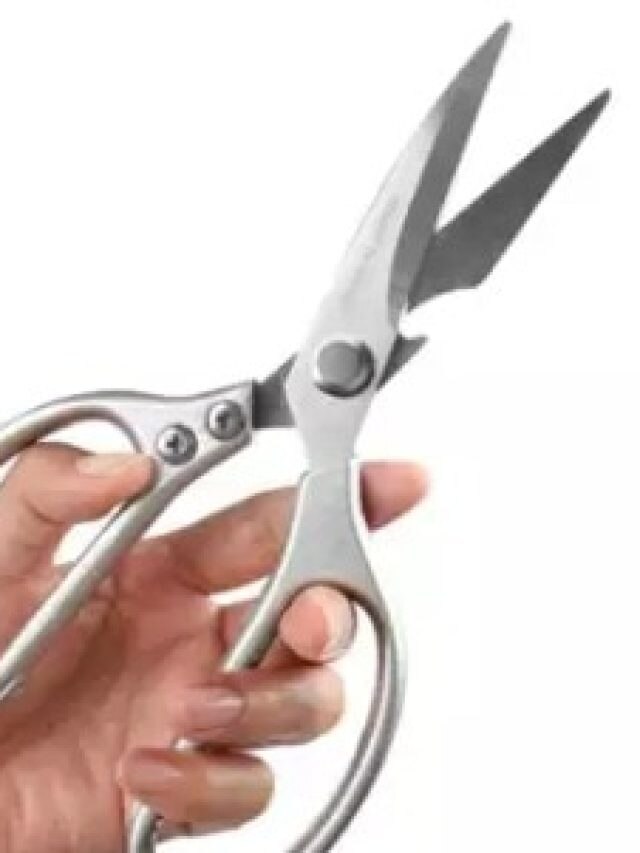 রান্নাঘরের কাঁচির ধার বাড়ান খবরের কাগজ দিয়েই, জানুন পদ্ধতি