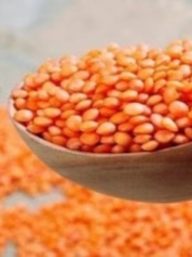 মুসুর ডাল আমিষ না নিরামিষ?  সত্যিটা জানুন