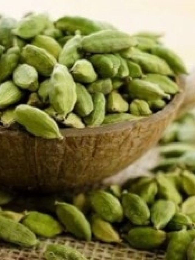 জলে ফোটান এলাচ, বনবন করে ঘুরবে ভাগ্যের চাকা, আসবে টাকা