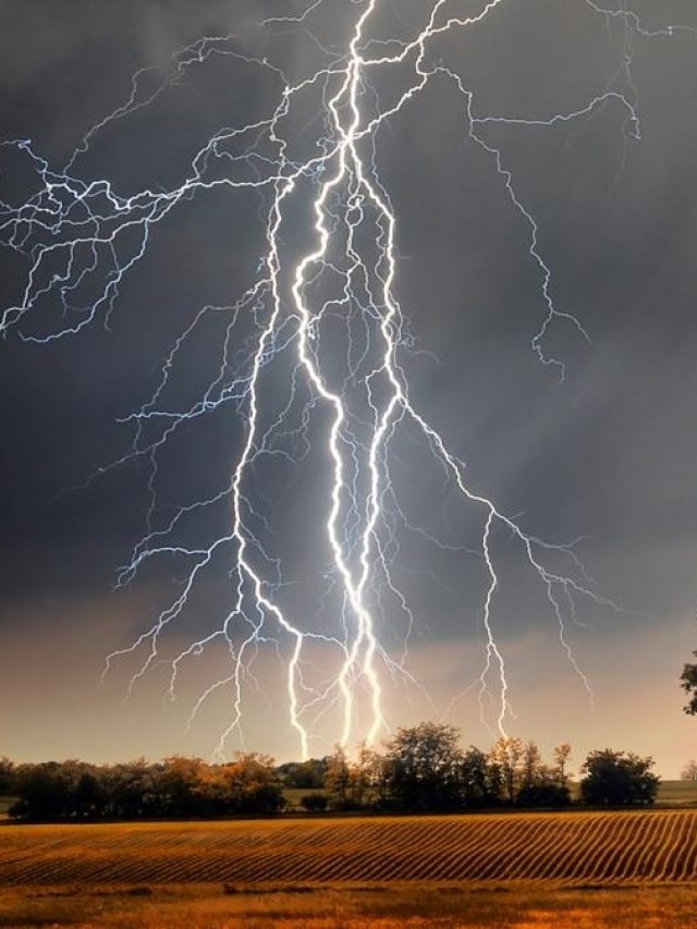 বাজ পড়লে কীভাবে নিজেকে বাঁচাবেন? রইল ৫ টিপস