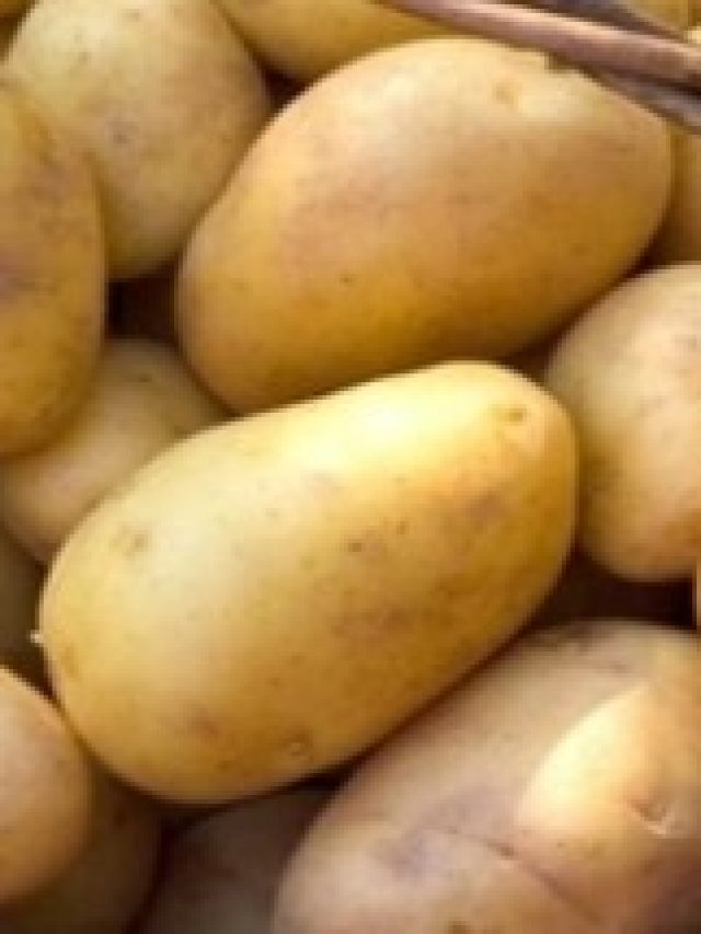 ক্ষতি নয়, রোজ আলু খেলে এসব উপকার হয়, জানুন