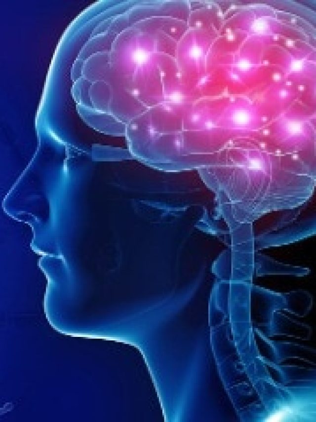 ব্রেন ছুটবে চিতার মতো, পাতে রাখুন এই মিষ্টি সবজি