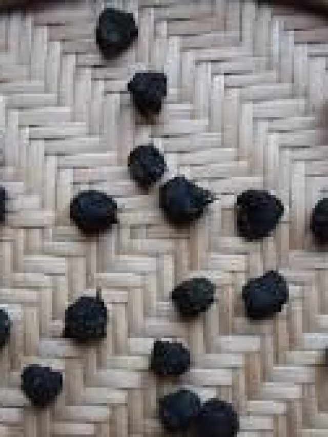 বাড়িতে এই একটি গাছ লাগান, সারা জীবন রোগব্যাধিকে ছুটি দিয়ে দিন