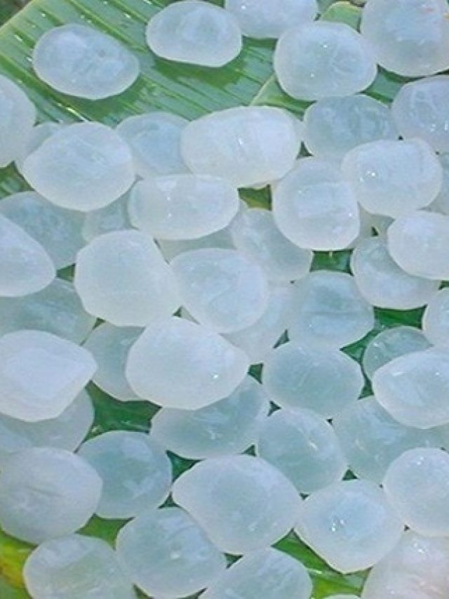 জিভে দিলেই শরীর বরফ, নামেও রয়েছে 'আইস'; সব ফলের বাপ