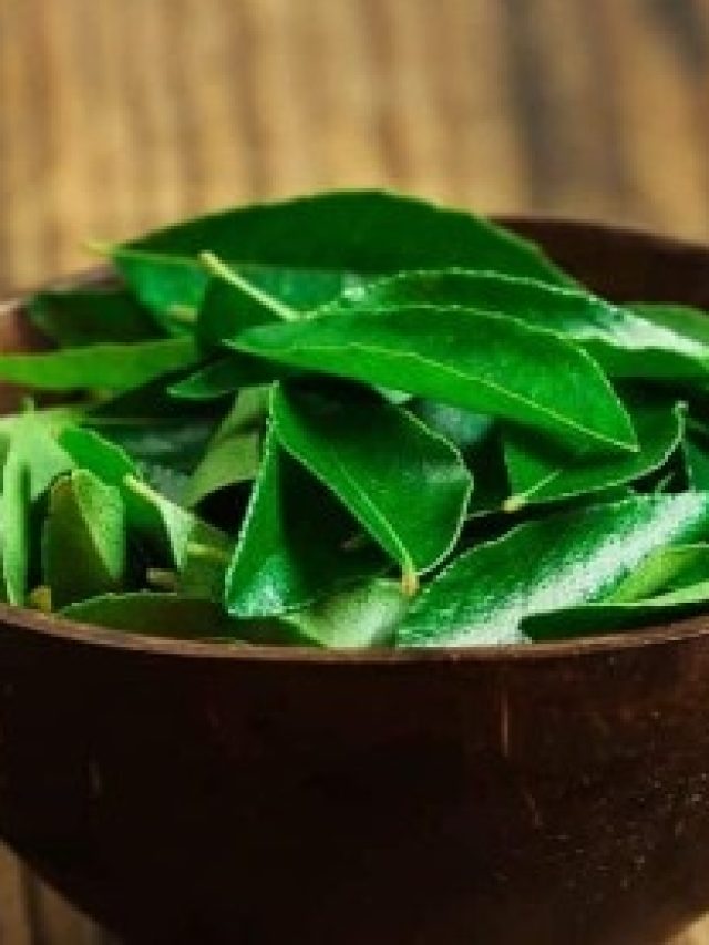 রোজ একটু কারি পাতা, বুড়ো হলেও যৌবনের ঢেউ উঠবে