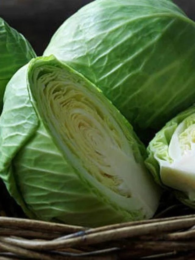 বুড়ো বেয়ারা বাঁধাকপিও হবে তুলতুলে নরম, এভাবে রান্না করুন