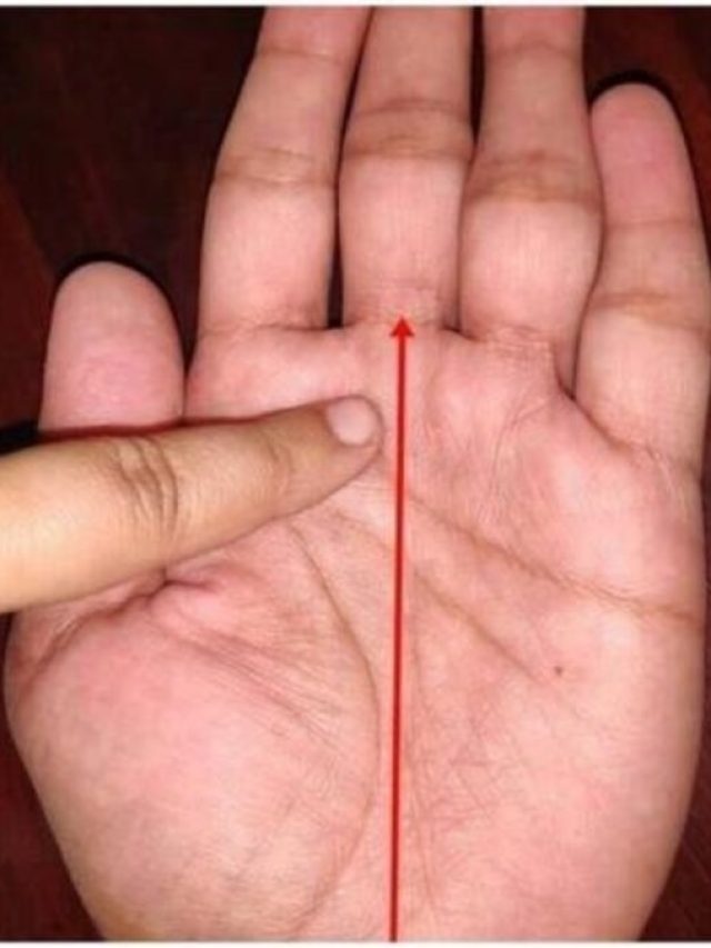 কত টাকা কামাবেন তা হাতের রেখাতেই আছে, অযথা উত্তেজনায় কোনও লাভ হয় না