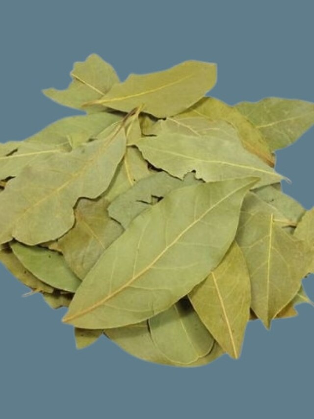 রোজ রাতে রান্নাঘরে পোড়ান একটা তেজপাতা, তারপর এসব ম্যাজিক হবে