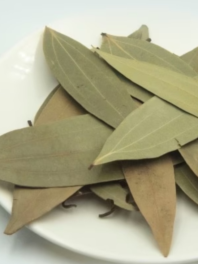 ২০২৫-এ আয় বাড়াতে চান? শনিবার করুন ৫টা তেজপাতার তন্ত্র টোটকা