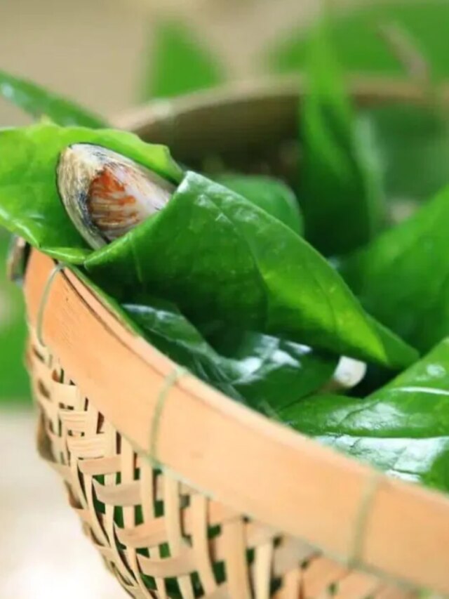 বারবার সব কাজেই ব্যর্থ হচ্ছেন? পানের এই তন্ত্র টোটকায় বাধা দূর করুন