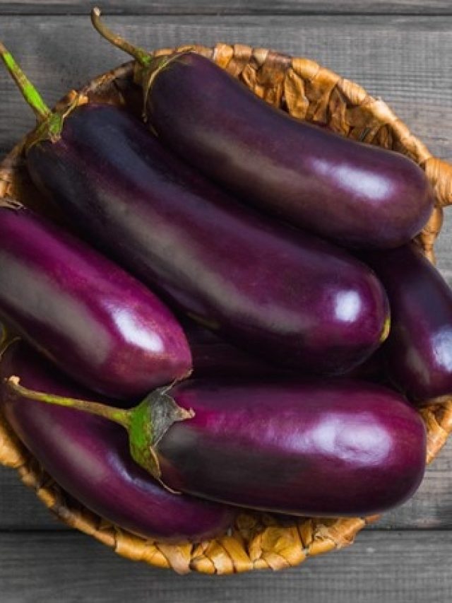 পোকা ধরা বেগুন কিনে এনেছেন? না কেটে বাইরে থেকেই বুঝবেন, টিপস