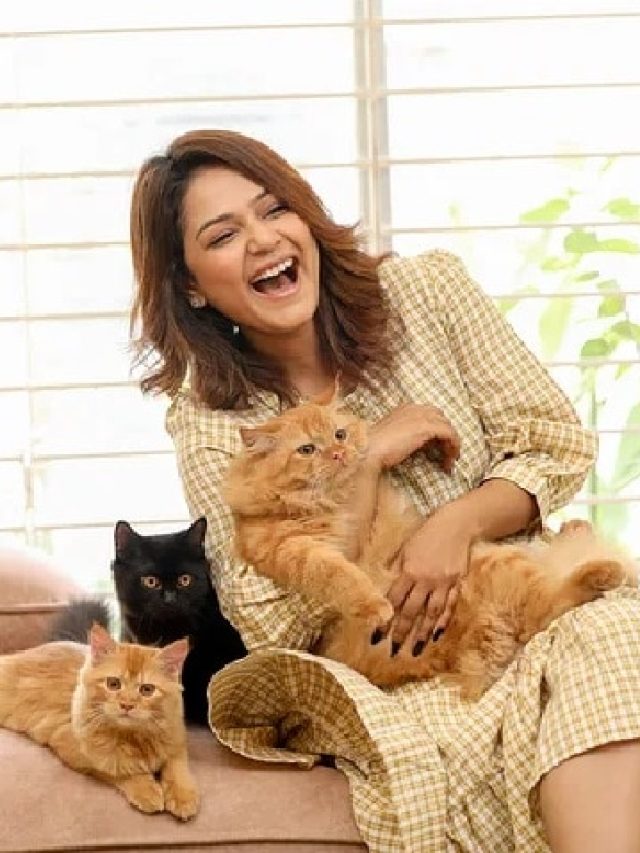 পোষা বেড়াল থেকে বাচ্চার ডিপথেরিয়া হতে পারে? জানা জরুরি