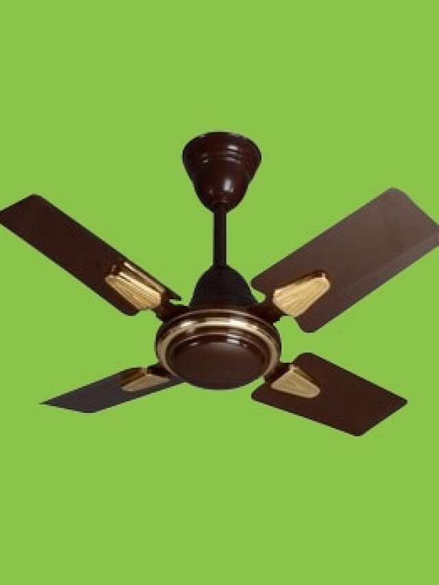 ফ্রি-তে পেলেও বাড়িতে আনবেন না এই ৫ জিনিস, ভিখিরি করে ছাড়বে