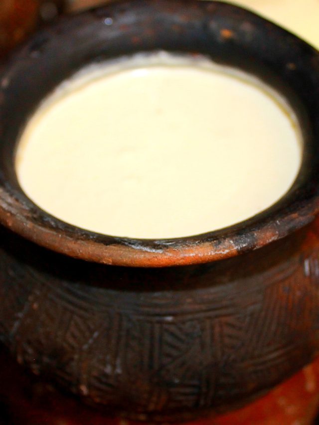 লাগবে শুধু  কাঁচালঙ্কা, ব্যস বাড়িতেই টাইট জমাট টক দই পাবেন