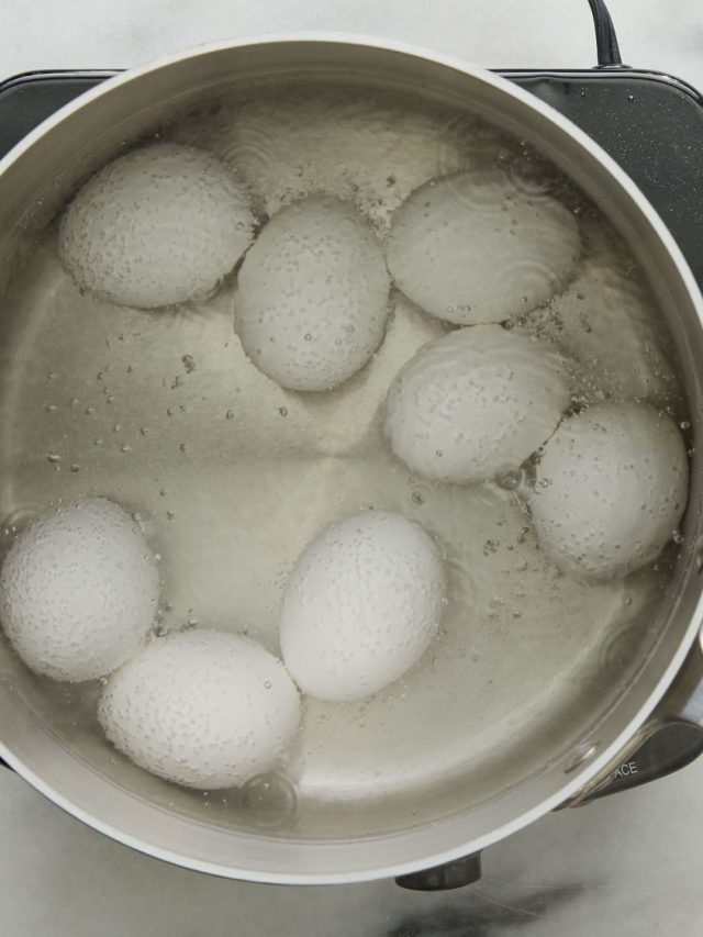 গ্যাস বাঁচাতে ভাতের সঙ্গেই করছেন ডিম সেদ্ধ, মাথায় রাখুন এই বিষয়গুলি