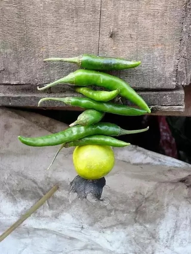 লেবু-লঙ্কা ঝোলালে ঠিক কী হয়? জানলে এতদিনের ভুলটা ভেঙে যাবে