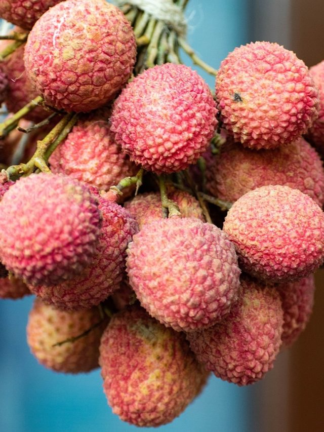 এইভাবে লিচু খেলে মৃত্যুঝুঁকি! বিষ থেকে বাঁচতে  দিনে কতটা খাওয়া উচিত?