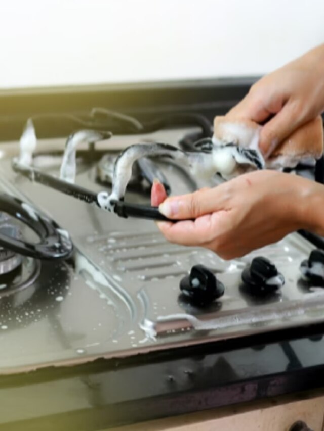 ঘষামাজার ঝক্কি নেই, তেল চিটচিটে গ্যাস বার্নার এই ট্রিকসেই হবে ঝকঝকে