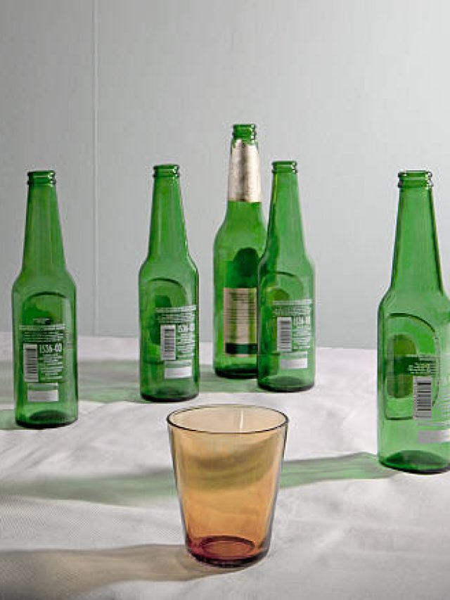 বিয়ারের খালি বোতল ফেলবেন না, ওটা দিয়েই এভাবে রোজগার করুন