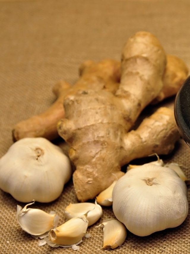 আশেপাশেই থাকবে না ক্যান্সার, আমিষ এই দুই সবজি খেতে হবে একসঙ্গে