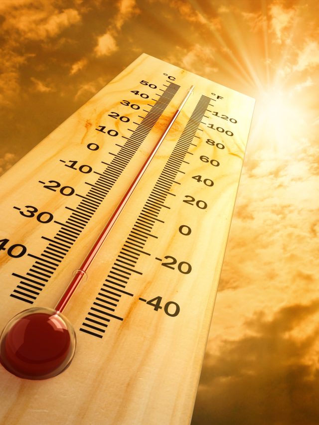 'The heat is making you poor': How rising temperature is draining your wallet