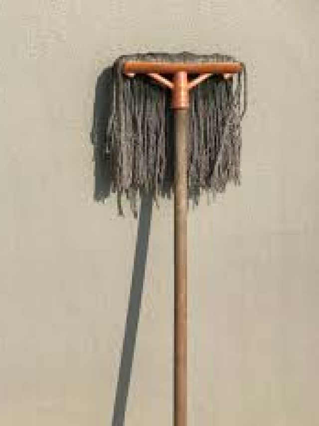 ঘর মোছার মপটাই কালো জোঁক হয়ে গেছে? এভাবে করুন নতুনের মতো