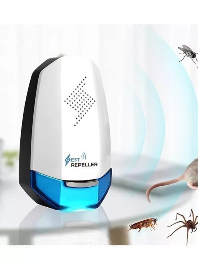 घर से छिपकलियां और कीड़े हो जाएंगे छूमंतर, सॉकेट में लगा दें ये 300 रुपये का डिवाइस