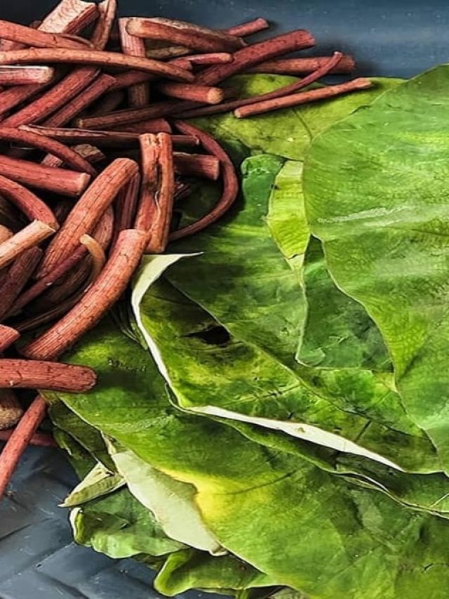 এই শাক একাই একশো! কোলেস্টেরল বাপ বাপ বলে পালাবে, মারণ রোগে ঝুঁকি কমবে খেলে