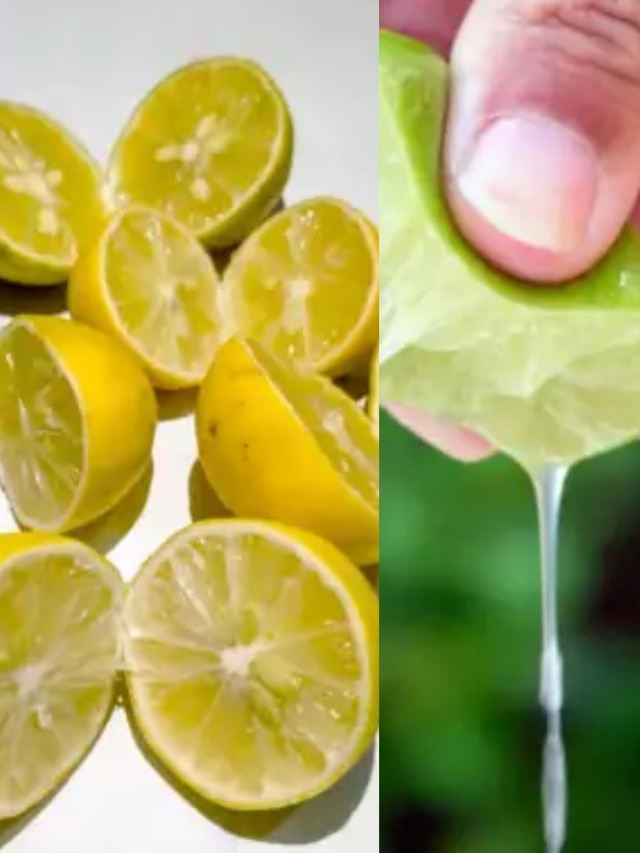 পাতিলেবু রসাল কি না চিনবেন কীভাবে? রইল ট্রিকস