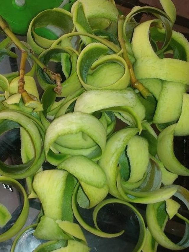 ছুমন্তর হবে ডায়াবেটিস, খেতে হবে এই সস্তা ফলের খোসা