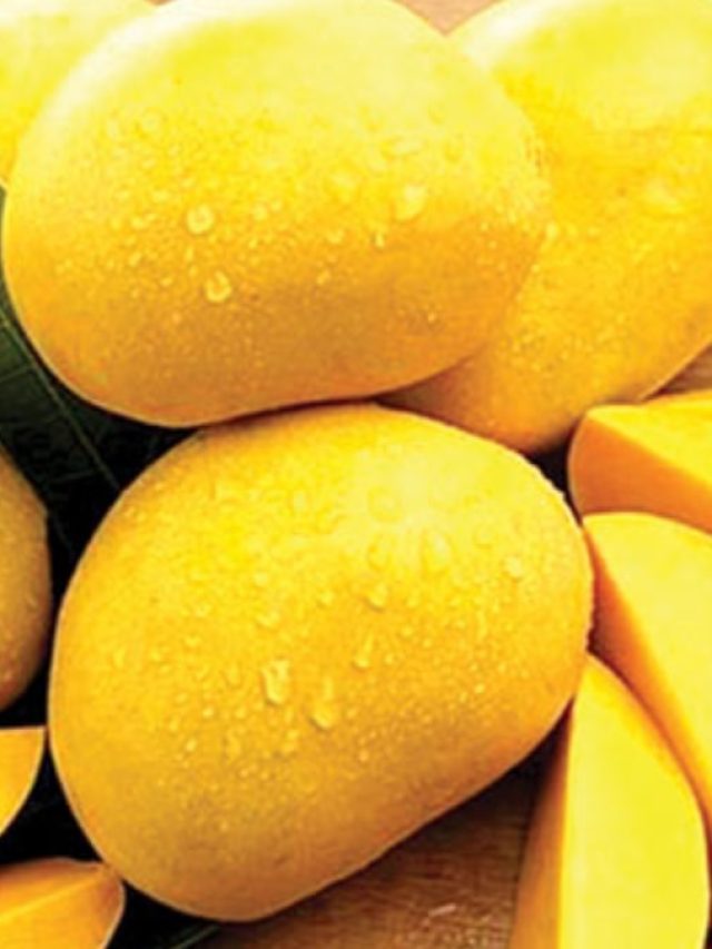 আমের খোসাই খেলা দেখাবে, ৭০ বছর বয়সেও উপচে পড়বে সবকিছু