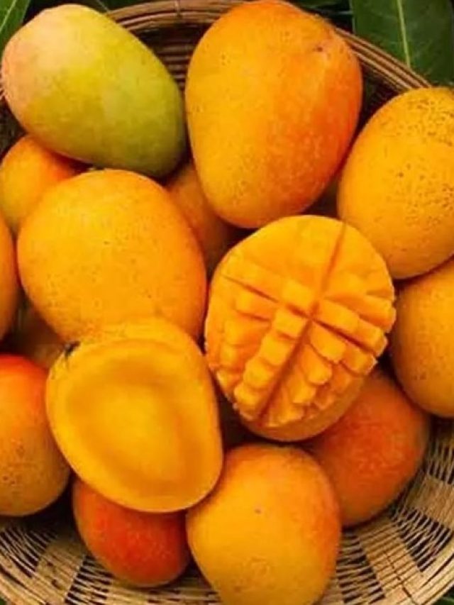 আম খাওয়ার কতক্ষণ পর জল খেতে হয়? গ্যারান্টি জানতেন না