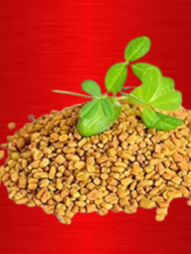 জাস্ট ১৪ দিন টানা এভাবে খান মেথিদানা, তারপর দেখুন শরীরের খেলা